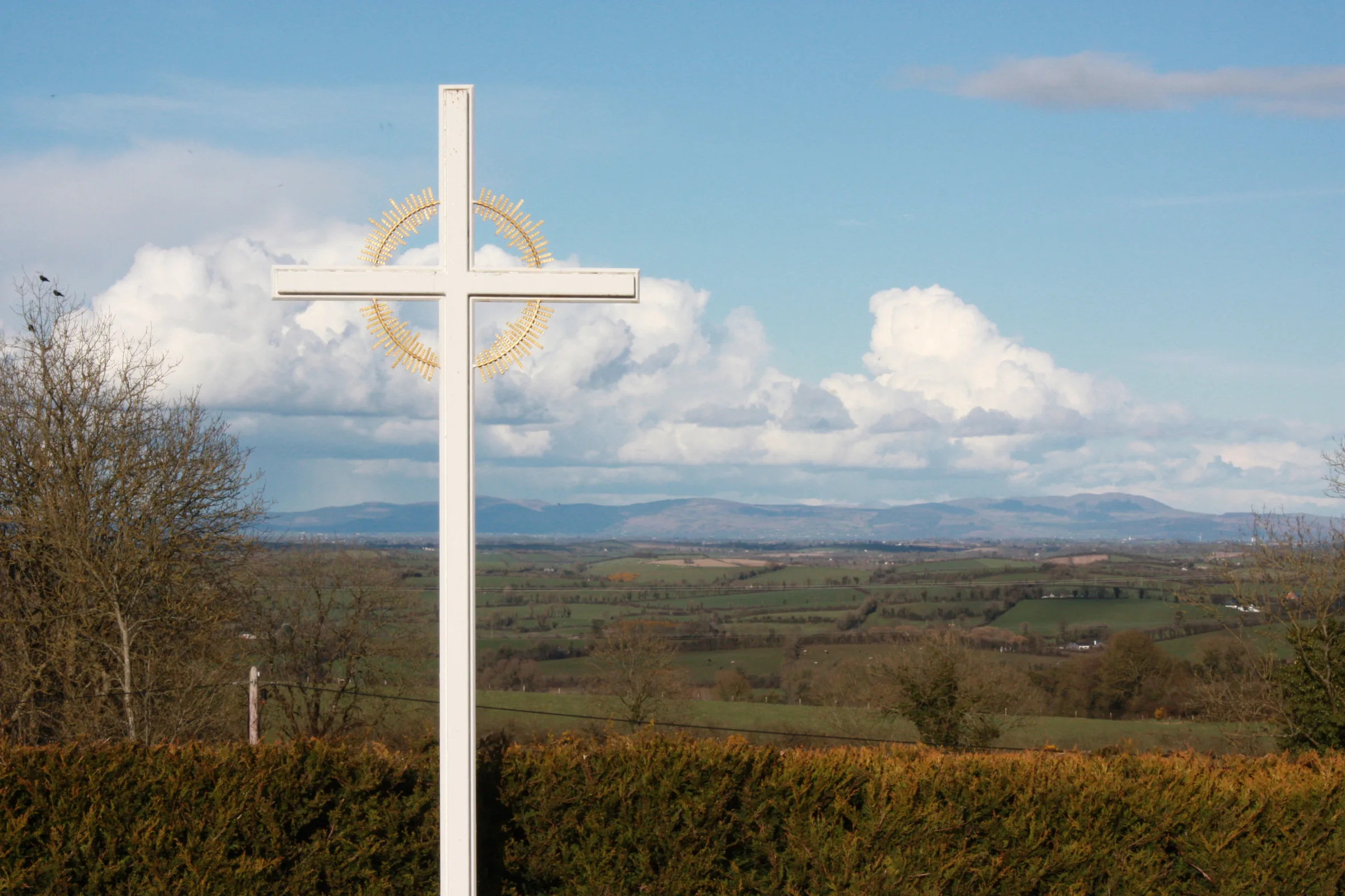 Fr. Seán Martin’s Golden Jubilee
