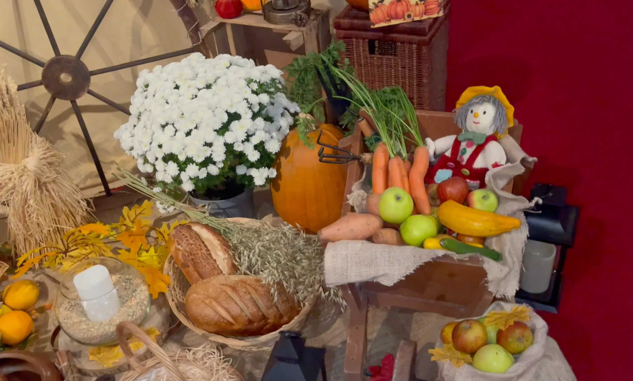 Harvest Festival 2024